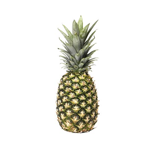 41y51gRAuwL.jpg