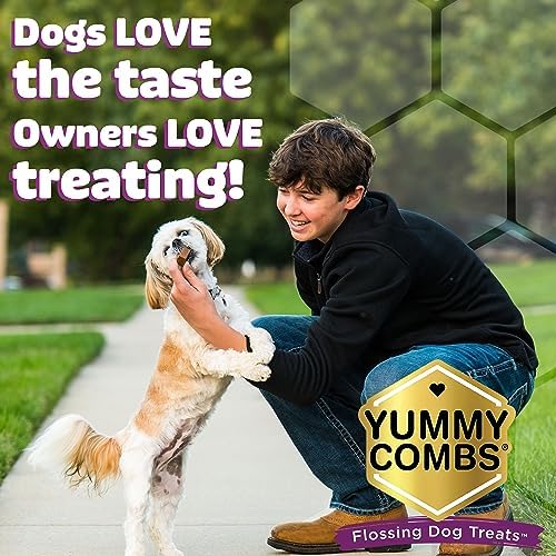 51AvQIX934L._AC_.jpg